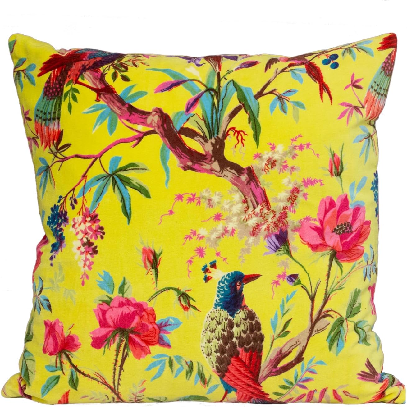 Riva Paoletti Paradise Square Cushion Cover Acacia Yellow Colourful Bird Print Velvet Fabric Machine Washable 100% Cotton 50 x 50cm (20" x 20" inches), Aracia