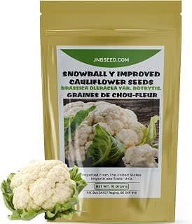 Snowball Y Improved Cauliflower Seeds (Approx.1300 Seeds-10 Grams) for Planting Outdoor Home Gardens