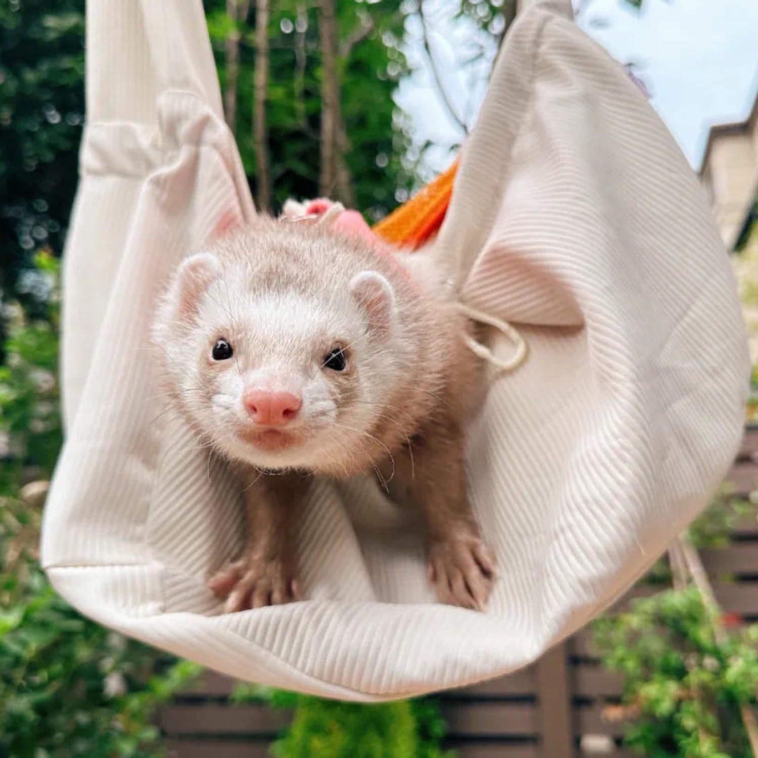 Sac de Transport en bandoulière pour Furet – Sac de Transport pour Animal Domestique avec Sangle réglable Mains Libres – Pochette de Voyage Souple pour Petits Animaux – Sac à Dos Avant pour Furet