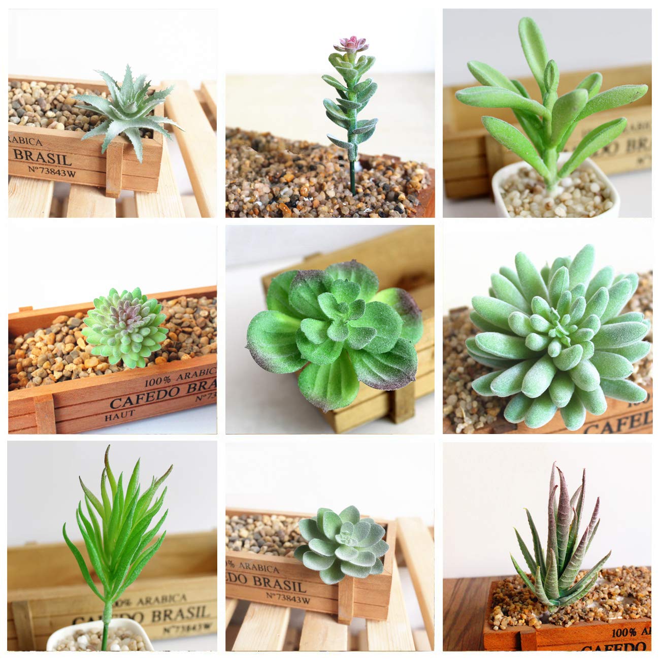 Set 5 Piante Grasse Finte Con Vasi - Decorazione Realistica Per Casa E Ufficio, Include 10 Piante - Foto 8