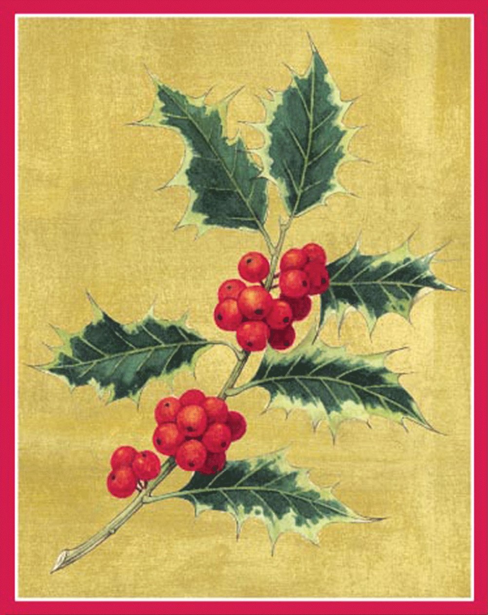 Caspari Entertaining Hollies and Evergreens Holiday Cards with 16 Unlined Envelopes, Box of 16
