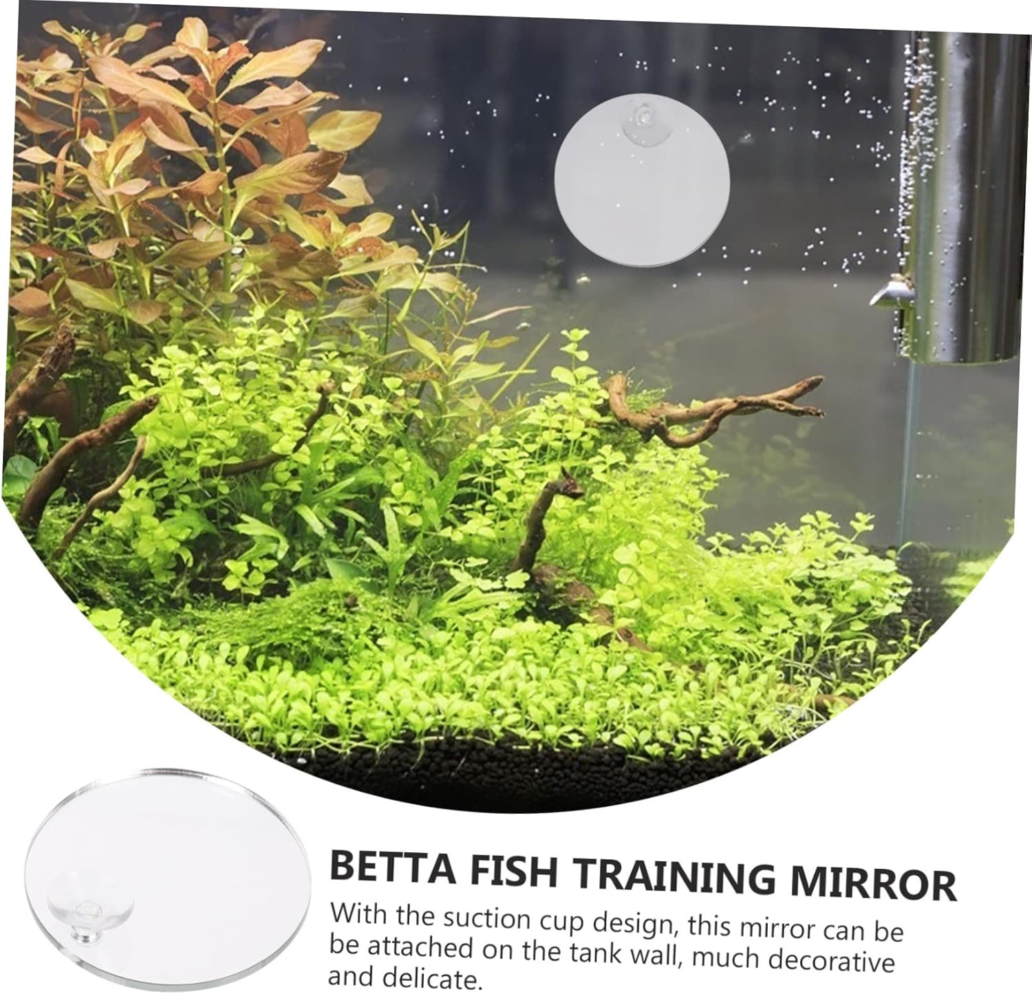 Angoily 40pcs Betta Fish Mirrors for Training and Decoration Double-Sided Fish Tank Accessories Floating Mirrors Self-Training and Play