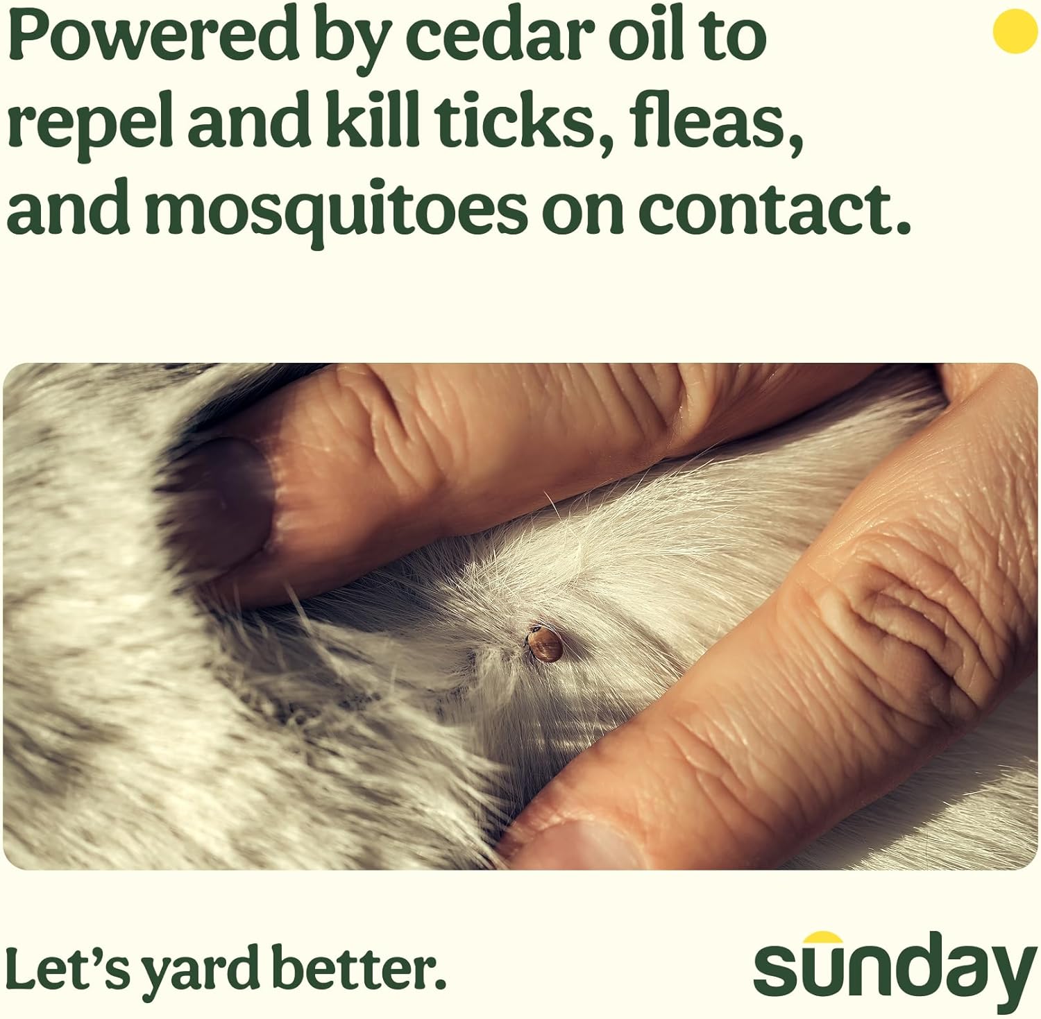 Sunday Nix Ticks - Tick Control Spray - Ready-to-Use - Concentrated Cedar Oil - Helps Kill Ticks, Tick Larvae, Fleas, and Mosquitos - Lasts up to 4 Weeks - 32 Fl Oz, 2-Pack