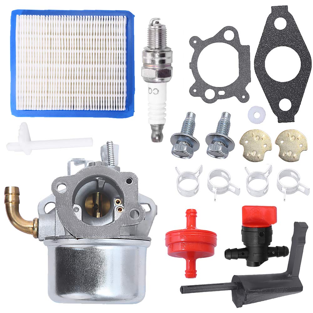Anxingo 798653 591299 Carburetor Replacement for B S 791077 696981 698860 694508 798650 698474 791991 698810 698857 698478 690046 6.5hp Intek Engine Power Washer Coleman Powermate 3200 generator