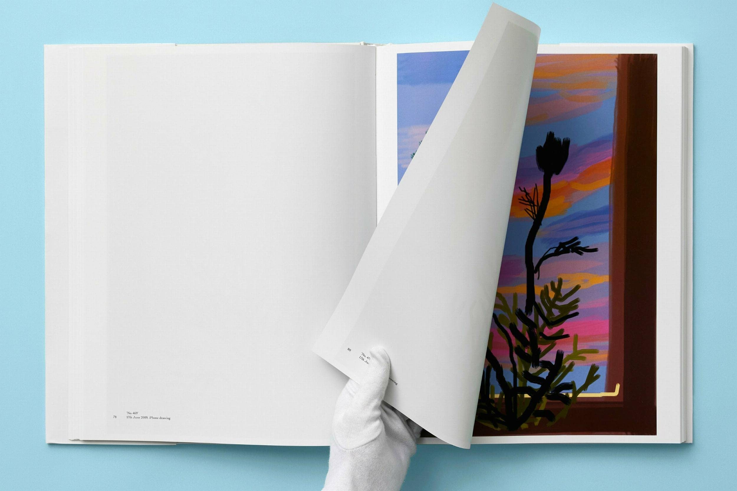 David Hockney: My Window (XL)