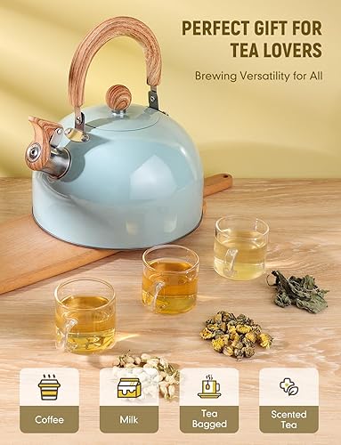 Miniatura 2 de Tetera para estufa, tetera de acero inoxidable de grado alimenticio con mango ergonómico que se mantiene fresco, tetera de ebullición rápida de 2.6
