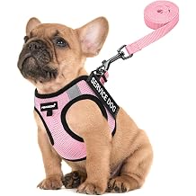 FAYOGOO Service Dog Vest Set for Small Dogs, Mesh Harness and Leash | Lightweight step-in vest with leash and removable identification patches; measure neck and chest before choosing a size