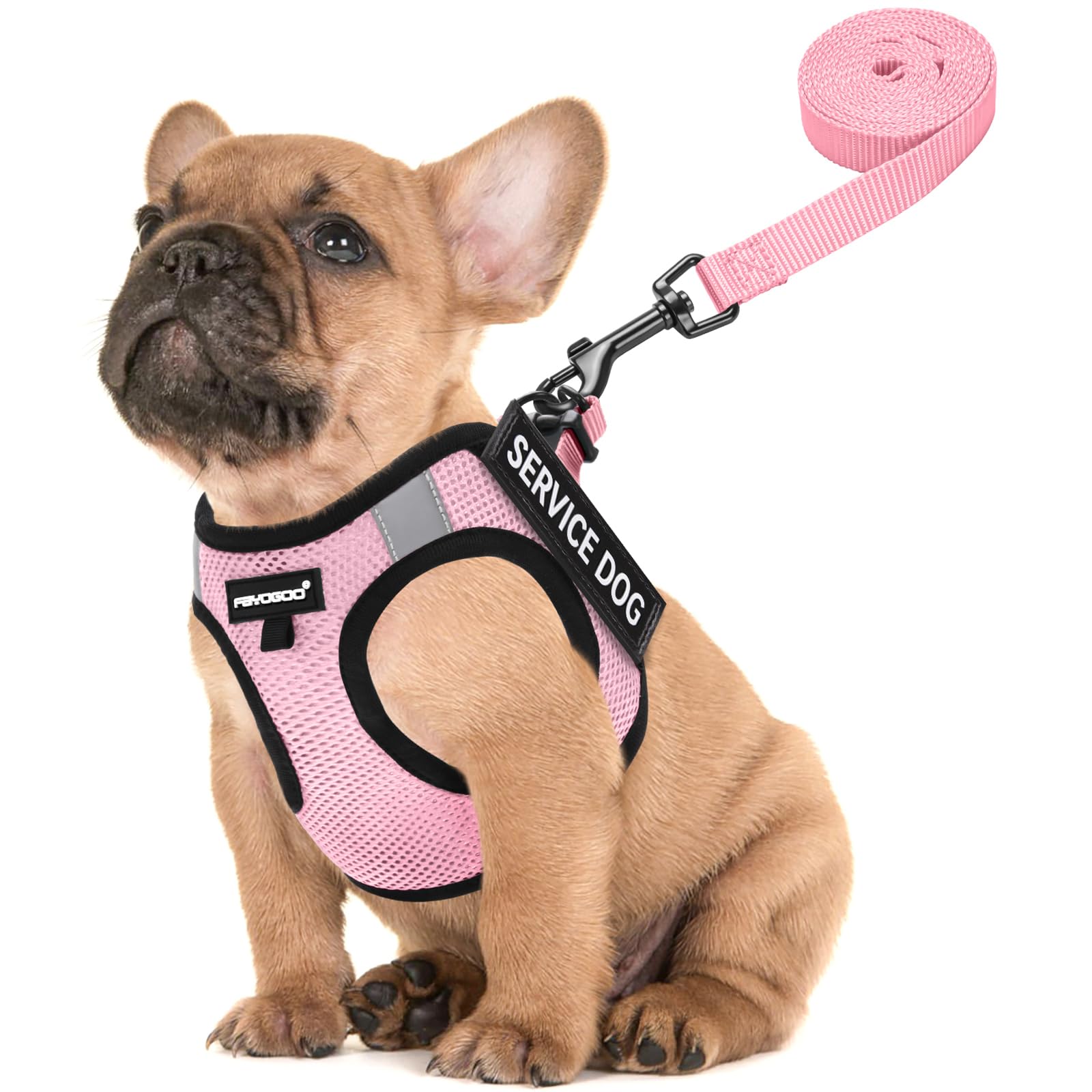 Photo 1 of FAYOGOO Service Dog Vest for Small Breed - Lightweight Dog Harness with 6PCS Removable Patches - Puppy Harness and Leash Set for Walking,Training