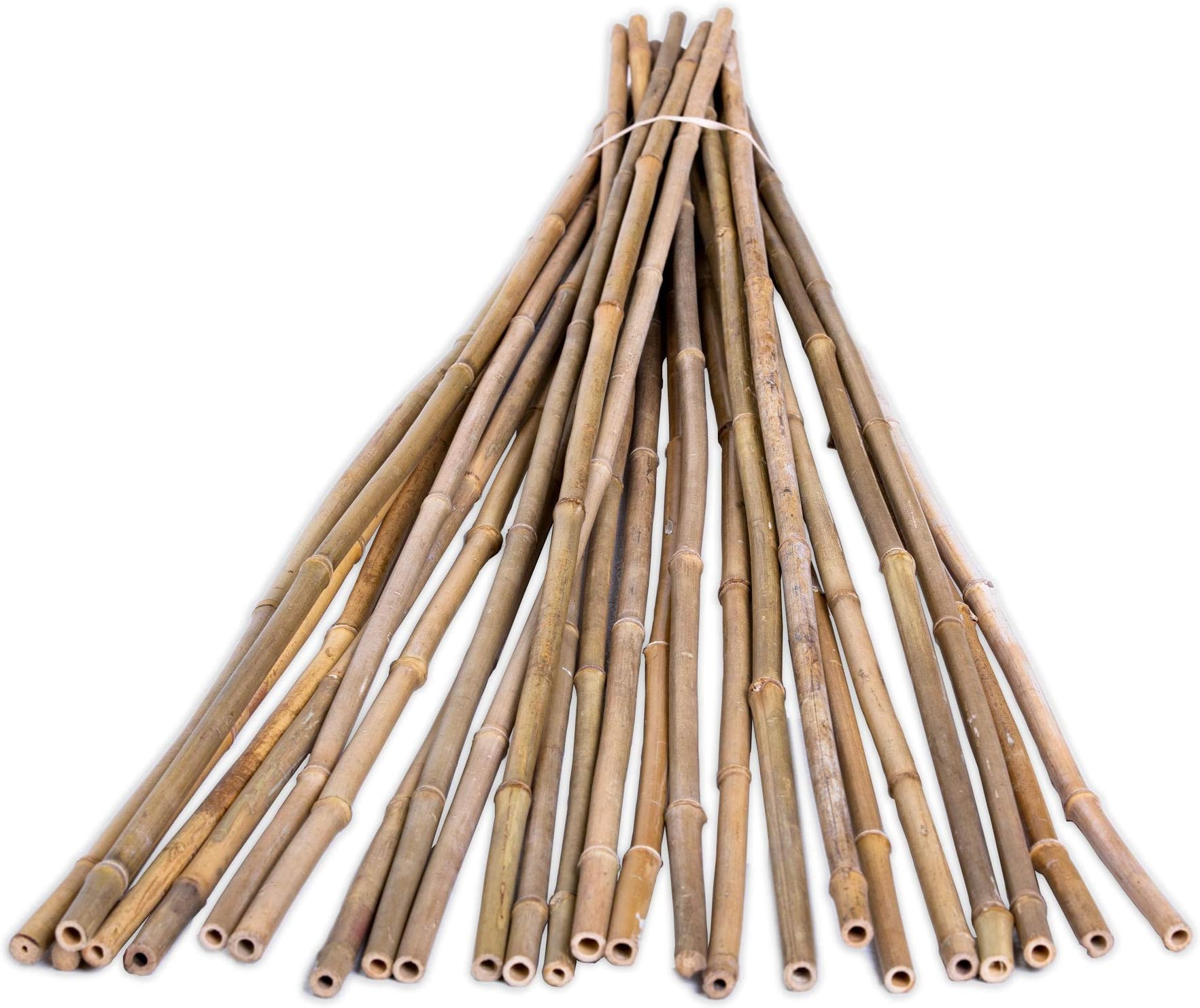 Backyard X-Scapes BAMA-BP12 Bamboo Poles, 25 Pack, 3/8" D x 6' H, Natural