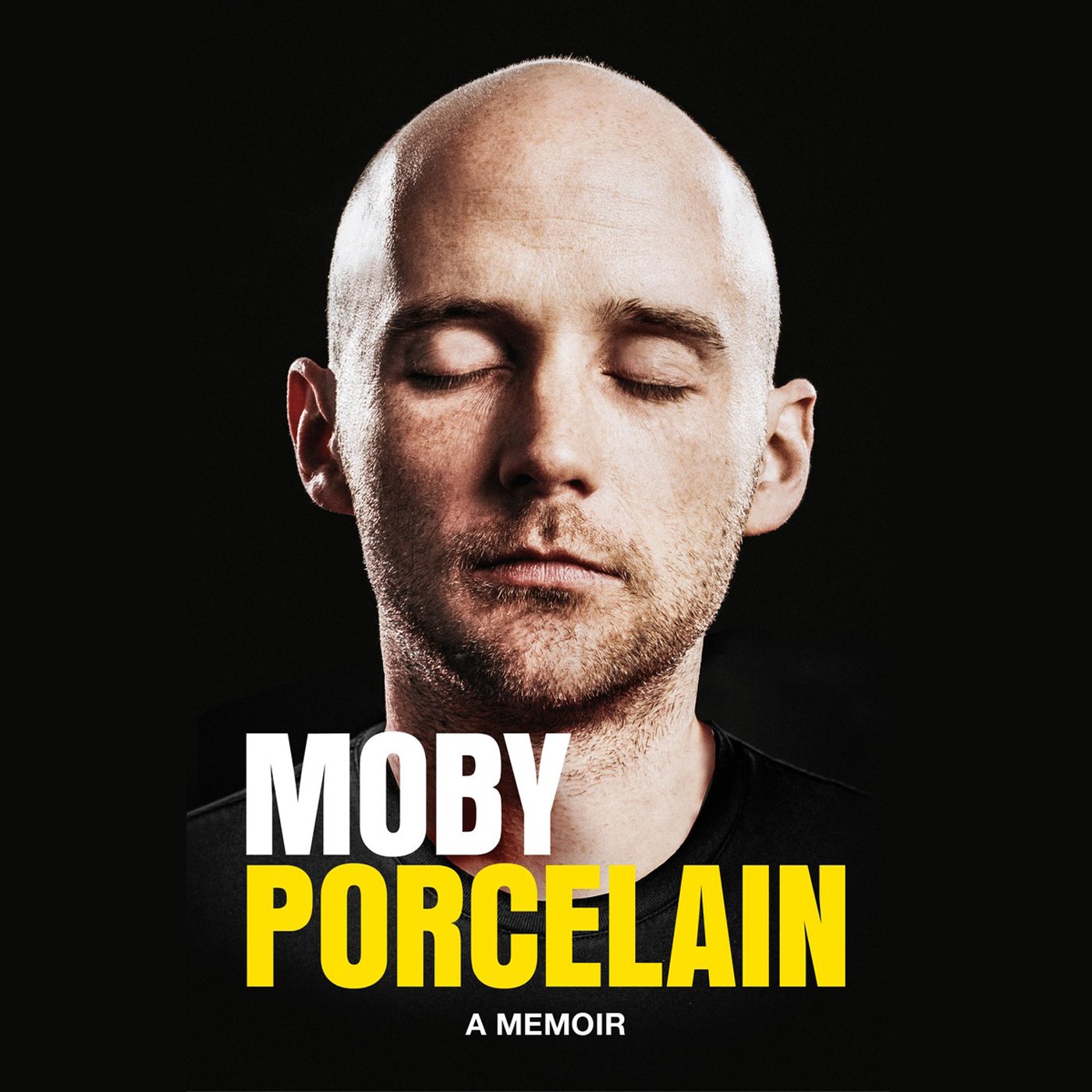 Cover art for Porcelain