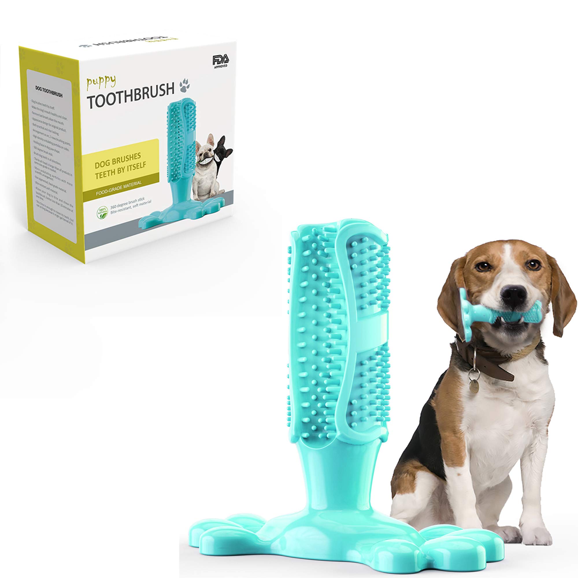 How Much Water Does A 40 Pound Dog Need