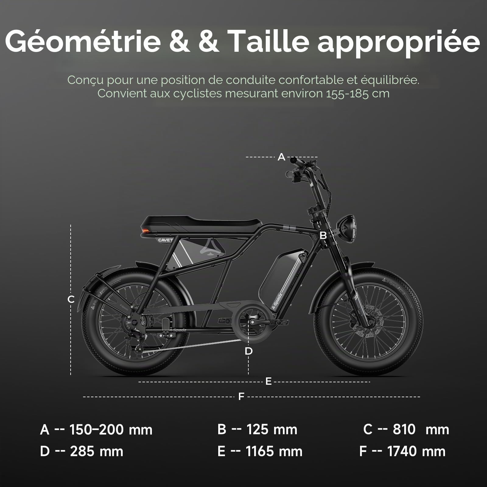 Cavet Air Vélo Électrique Fat Bike 20" 48V 250W 15,6Ah 7 Vitesses Double Siège Écran TFT