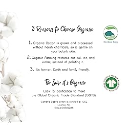 100% Organic Cotton Fitted Bassinet Sheets Fits Halo, Snoo, Graco, Dream on Me, Delta, and All Other Standard Size Bassinets. 3 Pk Adapts to Oval, Hourglass & Rectangle Shaped Bassinet Pads. Gray