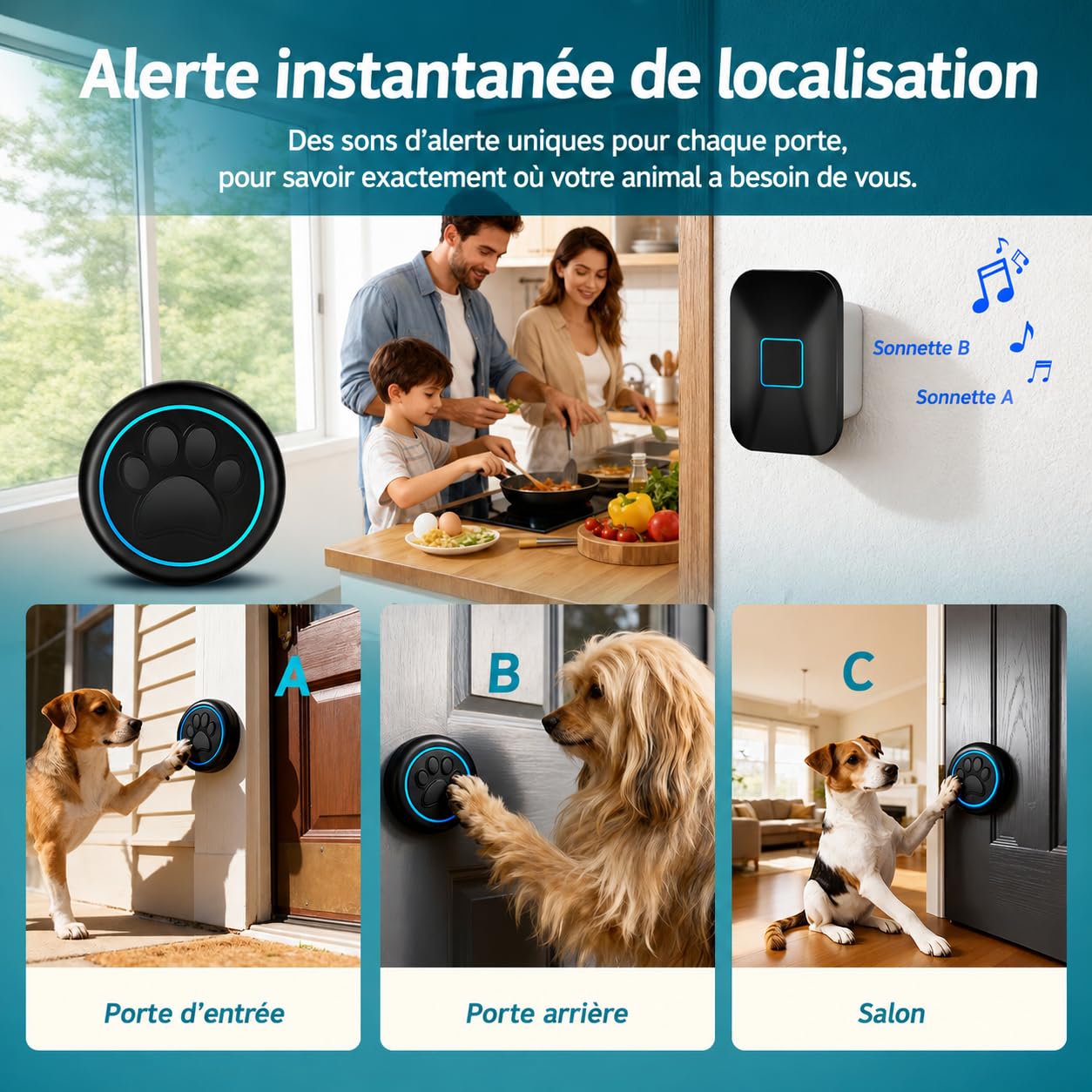 A88 Blk Sonnette Chien Tactile (1 Sonnette et 1 récepteur) | Sonnette sans fil 300 m, LED, 60 mélodies, étanche IP65; bouton sensible pour apprentissage de la propreté
