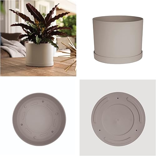 Miniatura 3 de Bloem Mathers - Maceta con bandeja para platillo de 6 pulgadas, color beige