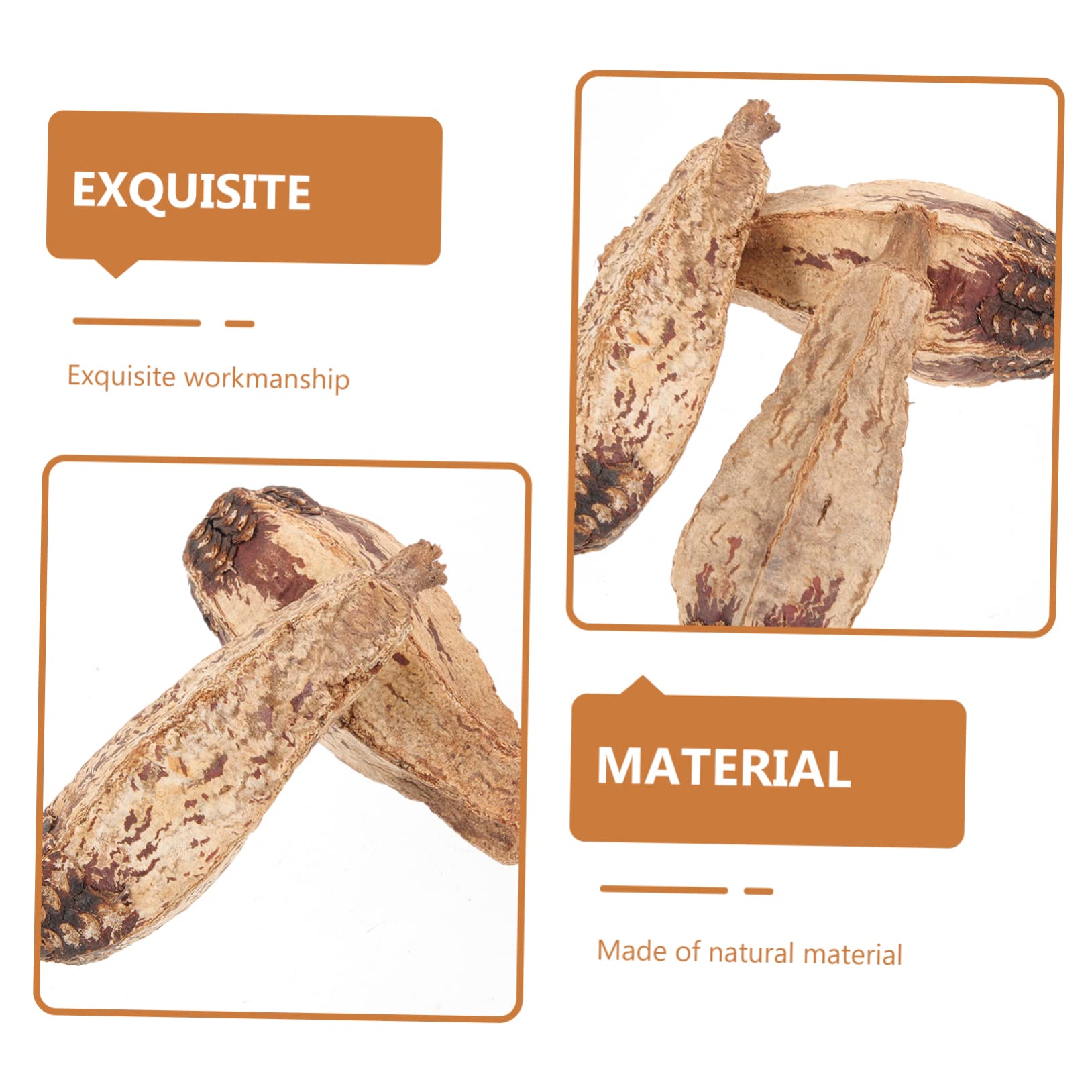BESPORTBLE 20pezzi Giocattoli Da Masticare Per Uccelli Materiale Naturale Giochi Per Pappagalli e Parrocchetti Accessori Per Foraggiare e Divertirsi