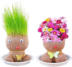 2 plant growth dolls, 2 trays, grass head dolls with flower head, mini bonsai grass head dolls, creative office desk decorations