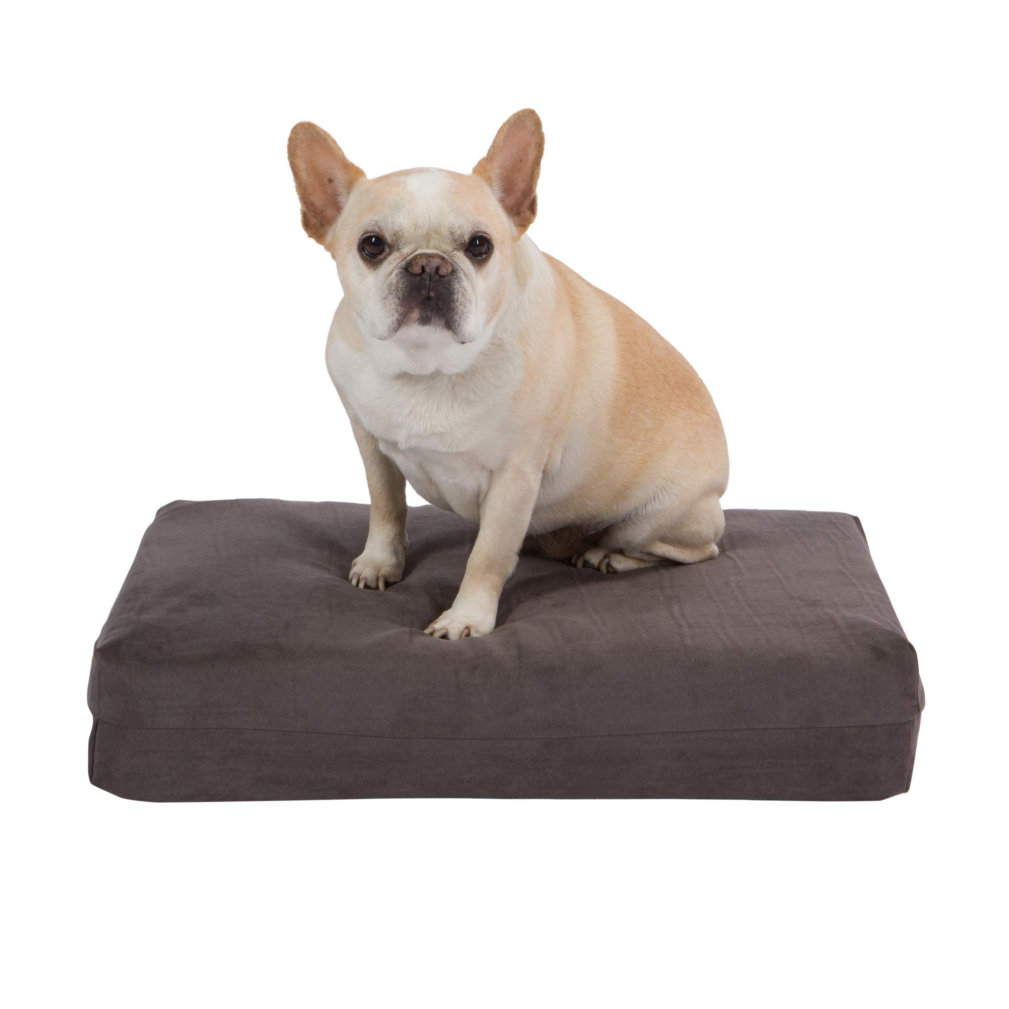 Amazon | ペット サポート システム 犬用ベッド - 整形外科用メモリ