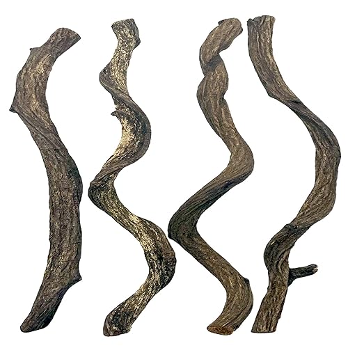 BNOSDM Reptile Forest Climbing Branch Decor Crested Gecko Climb Wood Natural Branches Tree for Snake Frog Chameleon Spider Bearded Dragon Terrarium Habitat Tank Accessories,4PCS - XL: 4PCS (16IN)