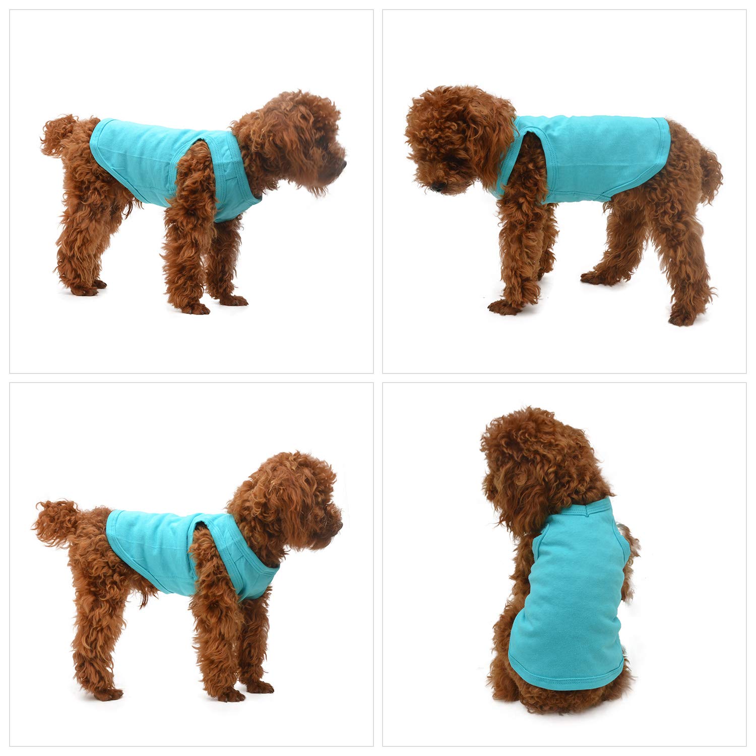 Amazon.co.jp: 2018 ペット 服 犬 服 ブランク Tシャツ タンクトップ