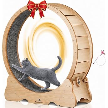 Super Quiet Wooden Balance Bike XXL 135 cm for Cats