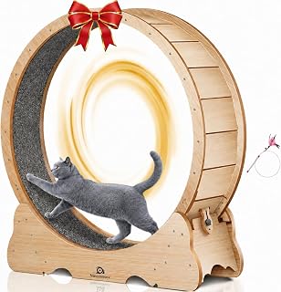 Cat Wheel, 53" XXL Large Exercise Running Wheels with Detachable Carpet for Indoor Cats