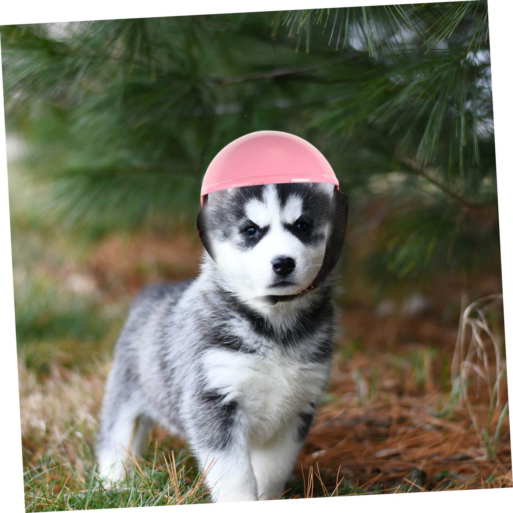 FRCOLOR 3piezas Sombrero De Seguridad para Perros y Gatos Casco Decorativo De Plástico Protección para Mascotas para Fiestas y Eventos