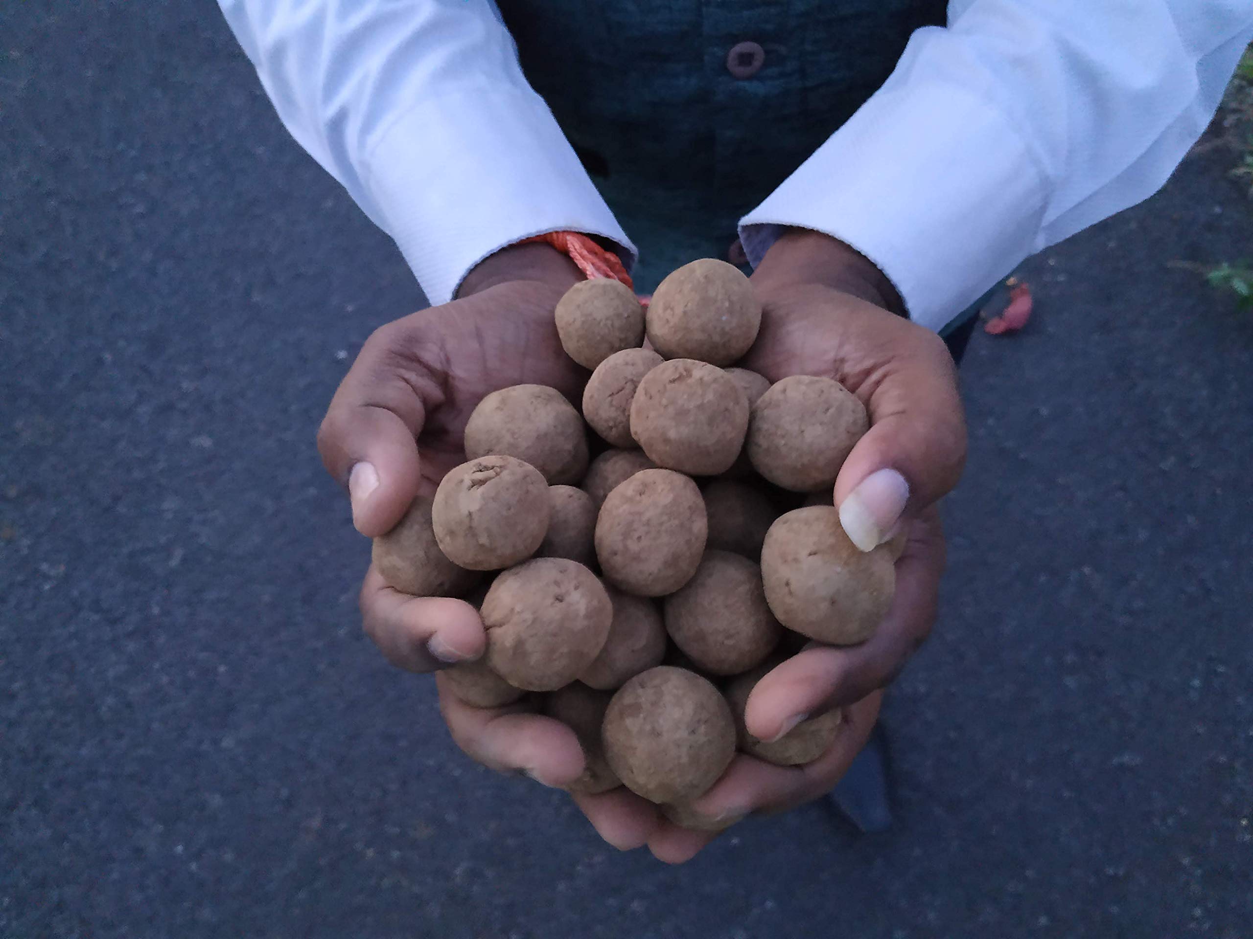 Human Birds Seed Balls - (FICUS RELIGIOSA Tree, PEEPAL Tree, ARASAMARAM Tree, Bodhi SATVA Tree) Seed Balls, Pack of (30) Seed Balls (B089YSC64L) Amazon Price History, Amazon Price Tracker