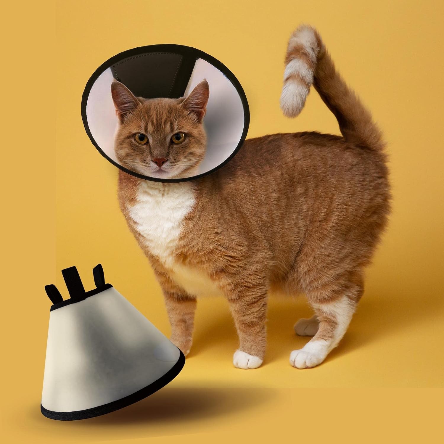 PALLY Pets' Products Cat Cone (Size 2, Medium) Plastic E-Collar Adjustable Protective Collar for After Surgery Anti-Bite L... - Review, Price and Buying Guide