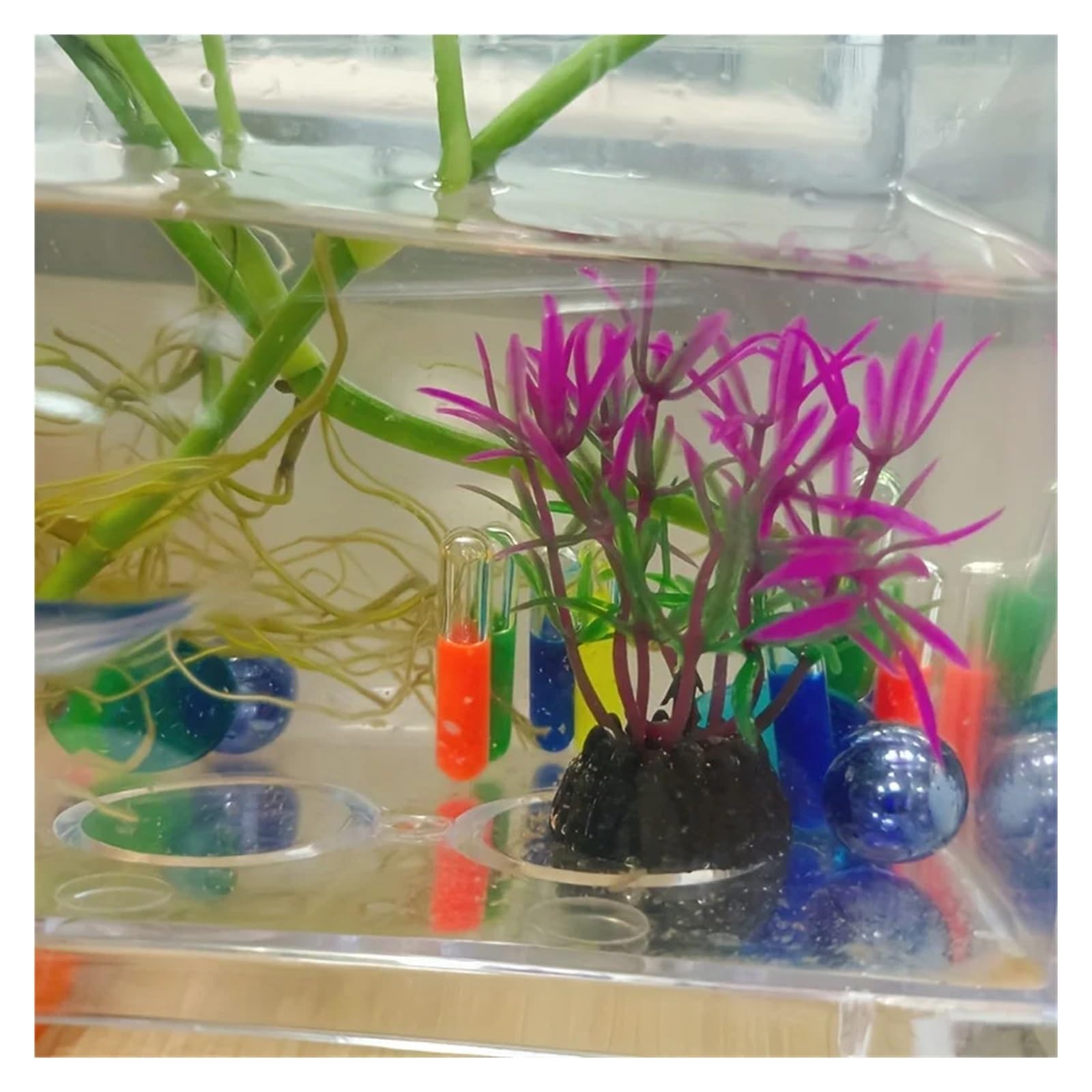 Plantas Artificiales para acuarios, Plantas de Algas Artificiales for Acuario, 10 Unidades, 5, cm x 2