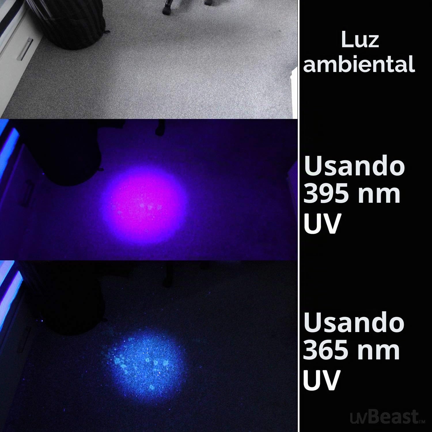 uvBeast Nueva V3 365nm MINI - Linterna UV de luz negra - Ultravioleta pura de alta definición - Grado profesional de alta potencia mejorada 5 núcleos UV LED - Stock de EE. UU