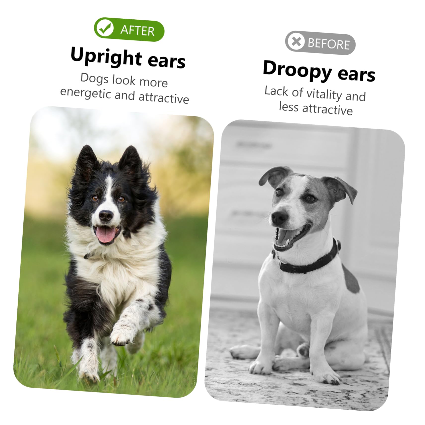 SEWOART Dog Ear Stand up Support Aid Kit with Non-Woven Fabric for Puppy Ear Correction and Posting Pet Care Tool for Comfortable Support - Image 3