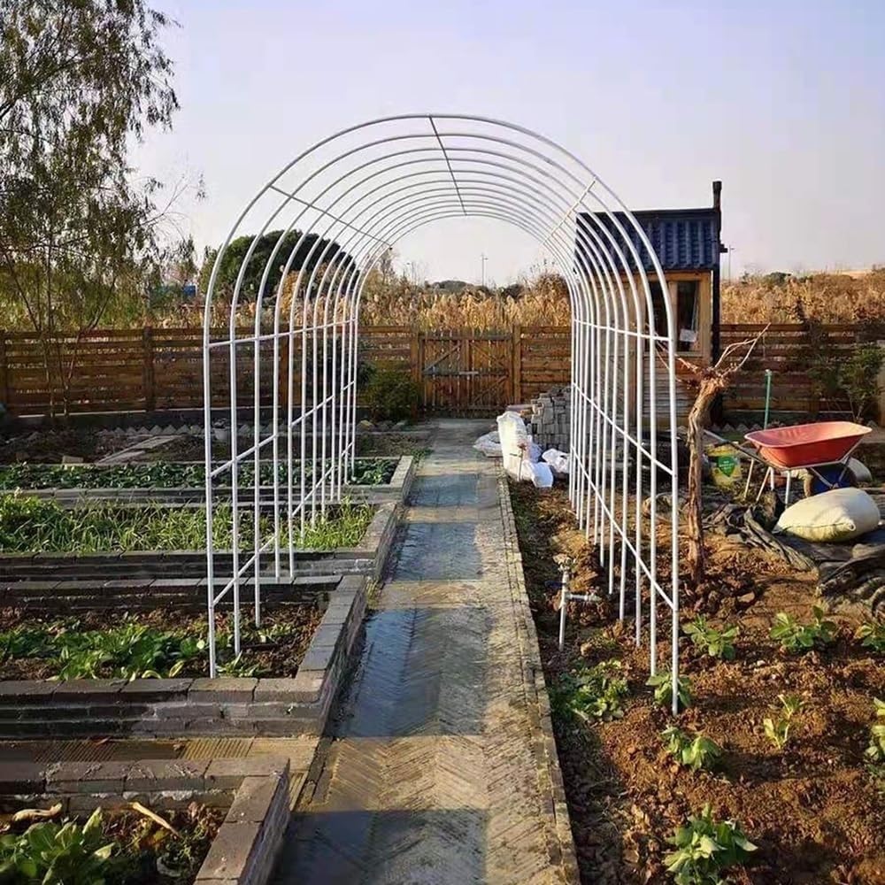 Arco da giardino in metallo per piante rampicanti, rose, decorazione per matrimoni, pergola, verde, 300 x 220 cm, per decorazione esterna