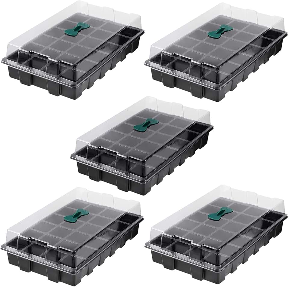 Amazon.co.uk plant cell trays