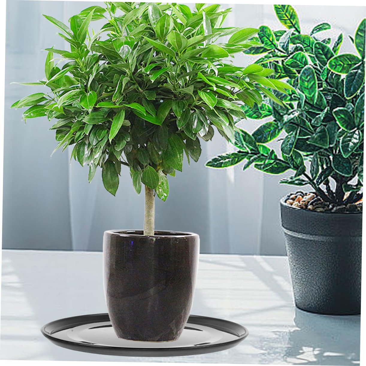 HEMOTON 20 Sottovasi Rotondi In Plastica Nera Per Vasi Da Fiori - 11x11x2,5 Cm - Protezione Per Superfici, Anti-scivolo, Per Interni Ed Esterni, Giardino E Davanzale - 3