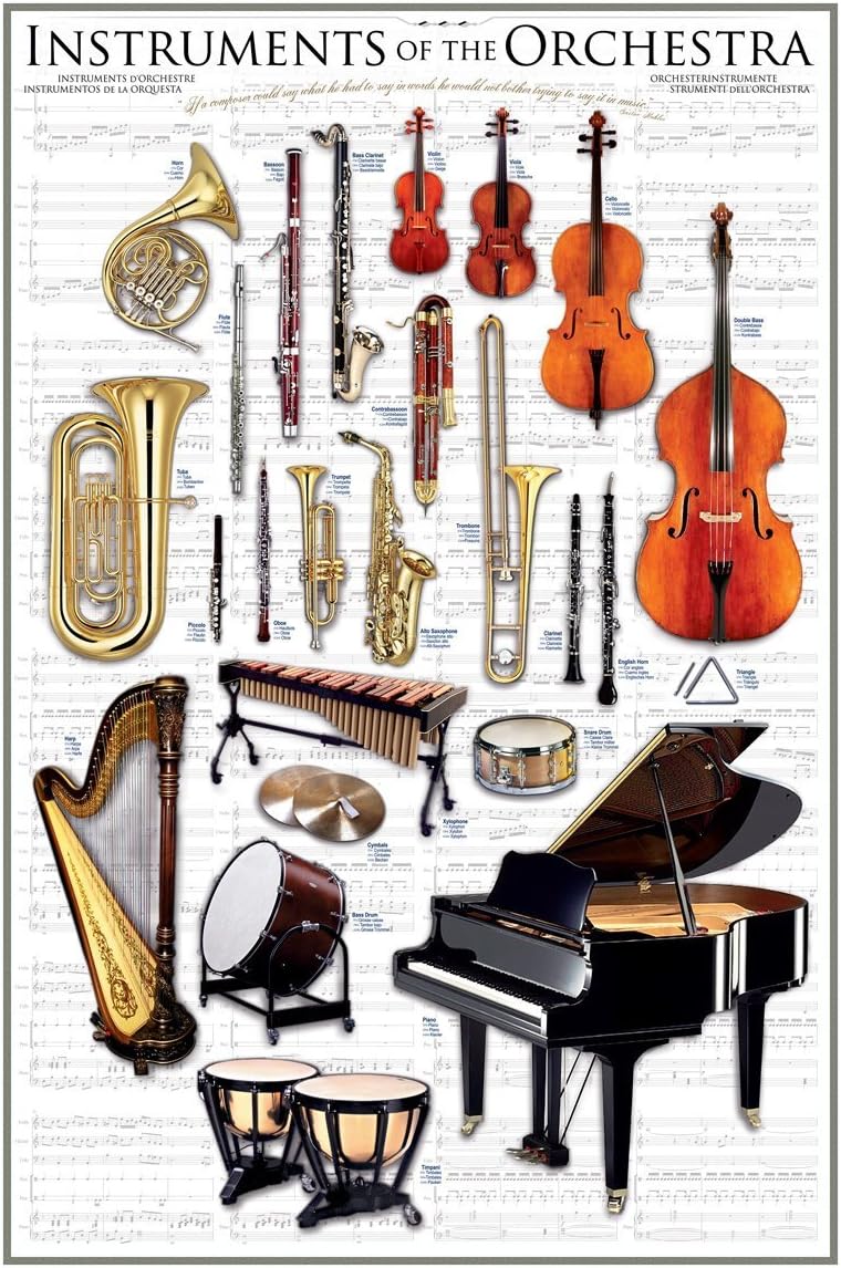 EuroGraphics Instruments of the Orchestra Art Print Poster Symphony Classical Music 24 x 36 24x36 Laminated Print