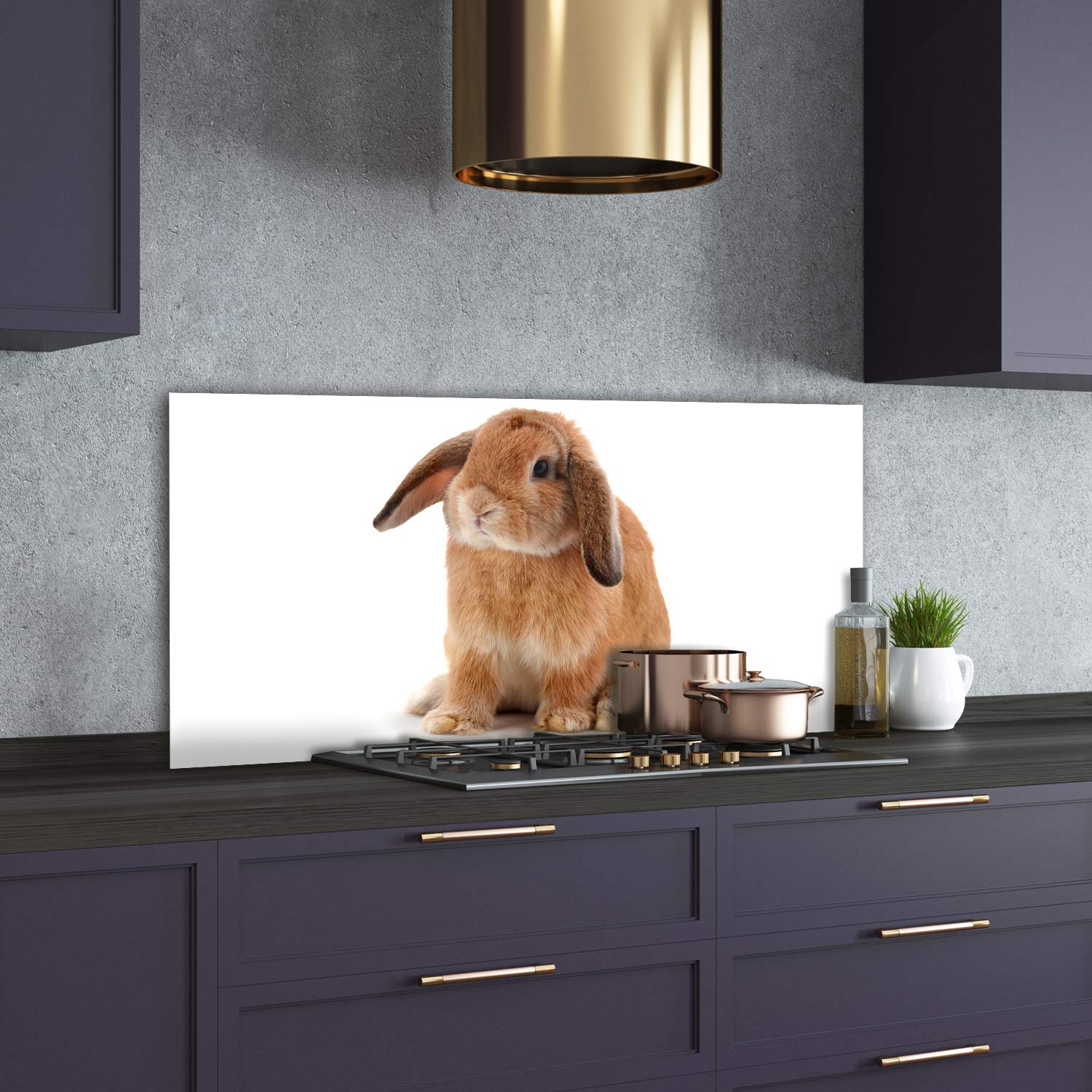 Tulup Crédence de Cuisine 140x70cm Dosseret en Verre Fond de hotte Verre de sécurité trempé Splashback Guard - Animaux - Orange - Lapin Roux