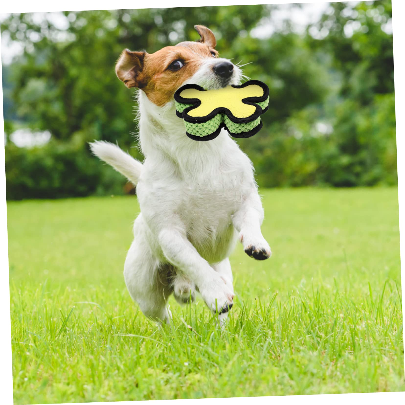 BESPORTBLE 3piezas Juguete De Molar para Perros Sonido Pelota De Flexible para Cachorros para Jugar y Masticar Aumenta La Interacción Entre Mascotas y Dueños