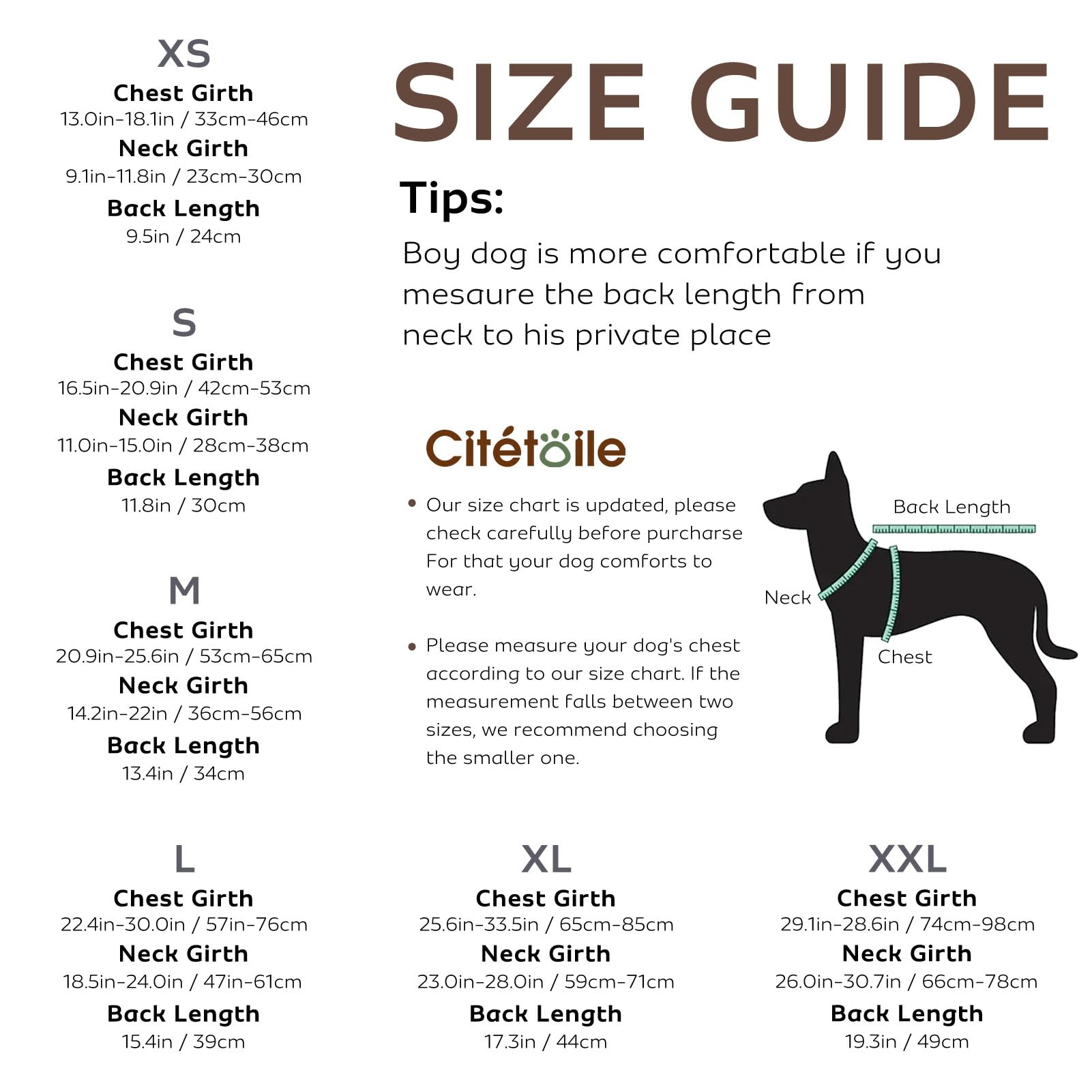 CITÉTOILE Schwimmweste Hund Hai, Hundeschwimmweste & Dog Life Jacket Verstellbar mit Griff und Reflektoren, Rettungsweste für Kleine Mittel Große Hunde & Welpen zum Schwimmen, Bootfahren, Surfen