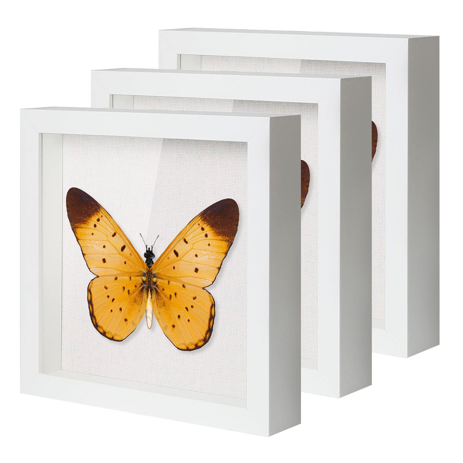 10"*10" Shadow Boxes Display Cases with Soft Linen Back Deep Wood Glass 3D Shadow Box Set for Wall and Tabletop, 3 Pack White