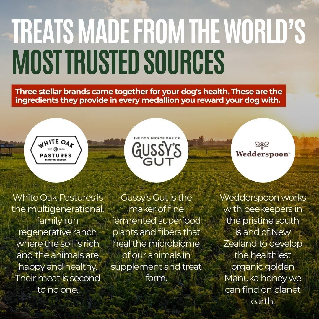 Gussy's Gut Fermented Superfood Reset & Reward Bundle