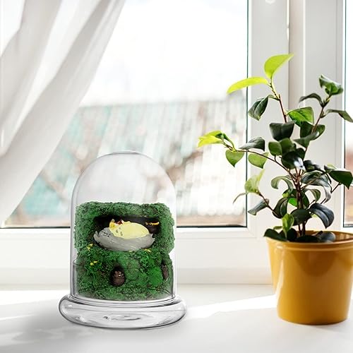Miniatura 9 de Frasco de terrario de musgo de botella ecológica - Cloche de cristal para plantas en miniatura Exhibiciones de plantas en casa D Cor y control de