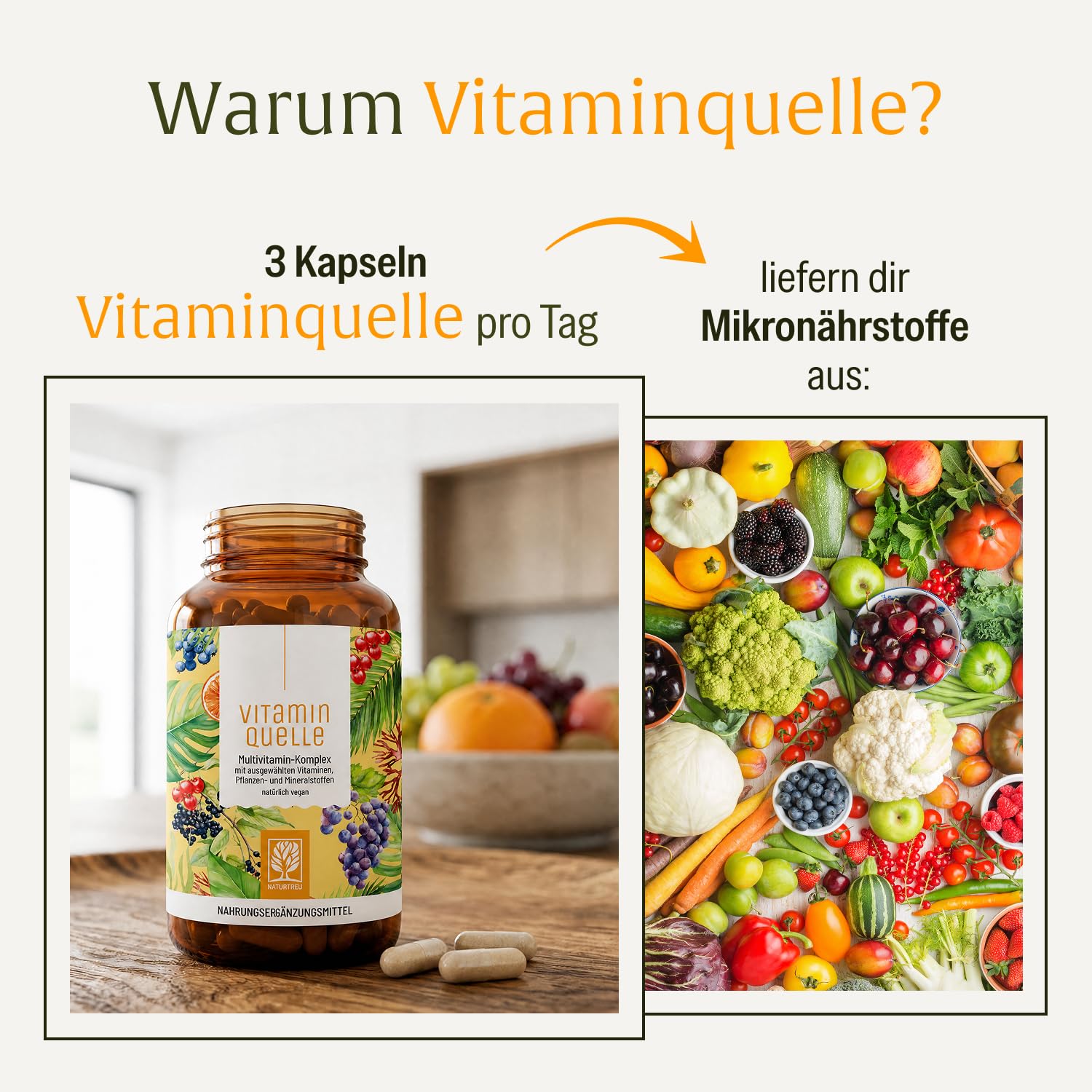 NATURTREU® All in One Multivitamin & Mineralien Komplex - 35 wertvolle A-Z Vitamine und Mineralstoffe - Multi Vitamin Kapseln hochdosiert - Vegan und ohne unnötige Zusatzstoffe