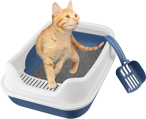 KittyClean - Caja de arena para gatos XL con estante de control, caja de arena XL para gatos grandes, caja de arena extragrande para varios gatos
