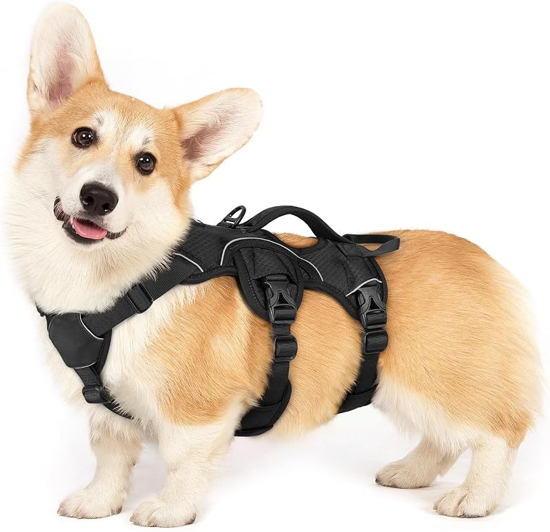 Peitoral Vest para Cães Pequenos rabbitgoo com Alça de Elevação e Faixas Refletivas