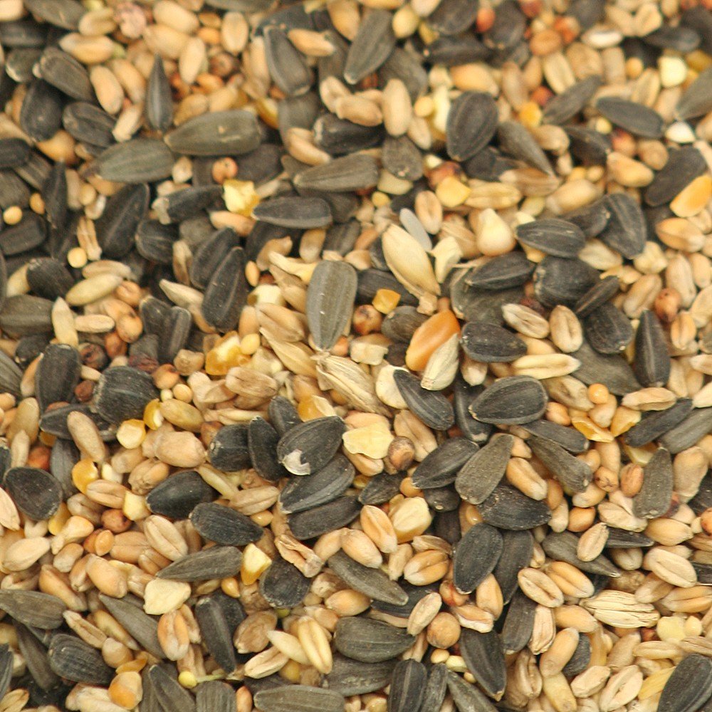 Johnsons Johnston & Jeff Select Wild Bird Food12.75Kg from B&Q