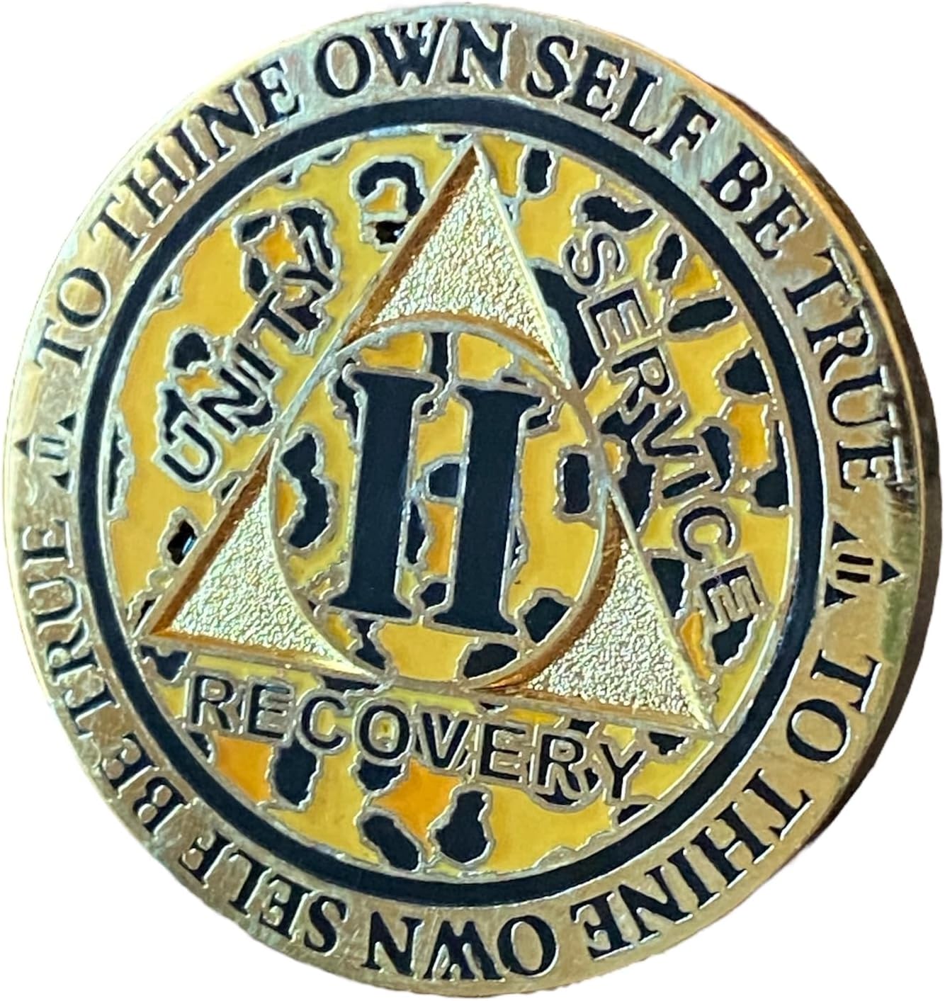 RecoveryChip 2 Year AA Medallion Reflex Leopard Sobriety Coin Gold Plated Animal Print Chip II image 3