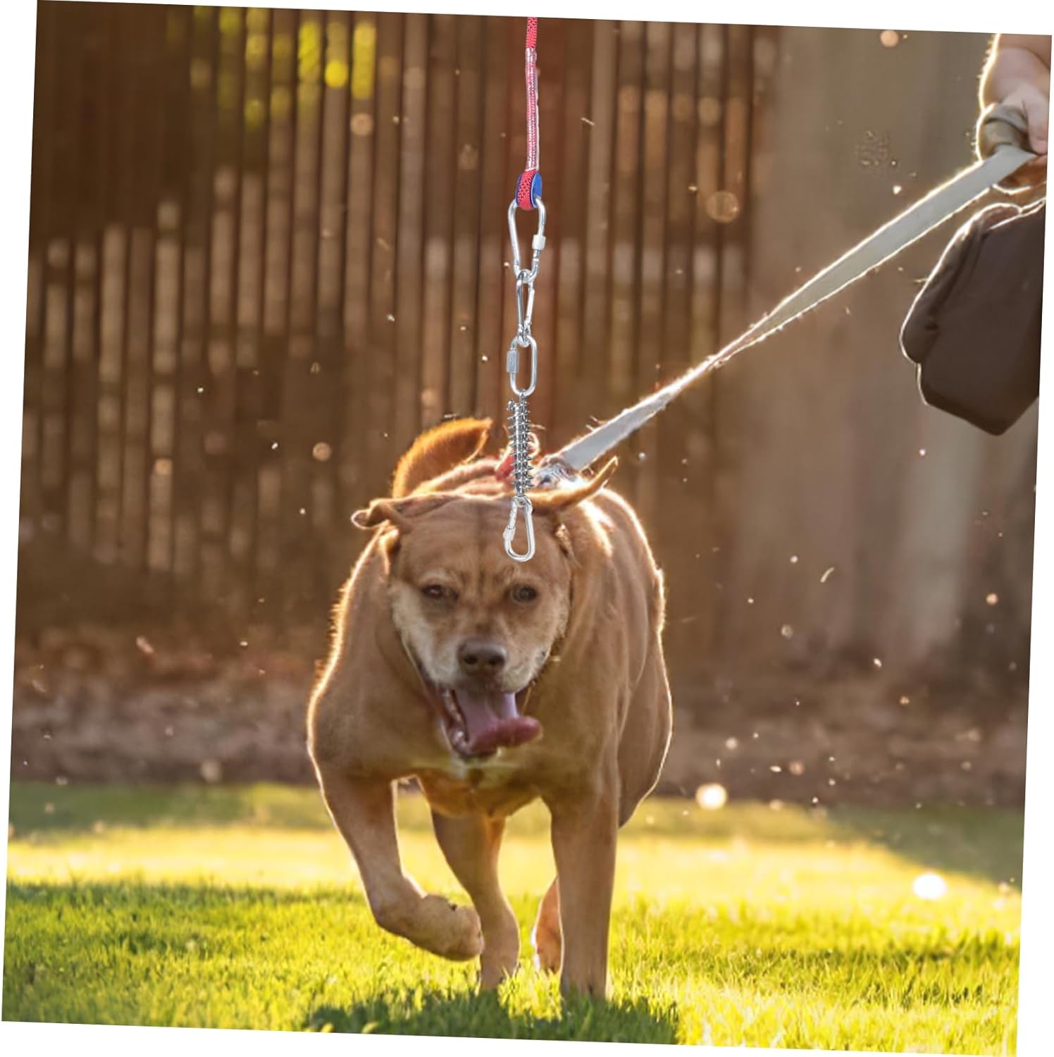 GALPADA Dog Tie Out Cable for Dogs Rope Leash for Outdoor Activities Safe Non-Slip Camping Training Leash