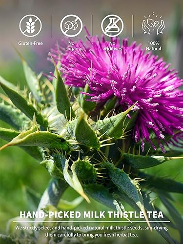 Vista 139 de TeeLux Mugwort Tea Bags - Té de hierbas de artemisa seca natural, sin cafeína, 40 bolsas de té