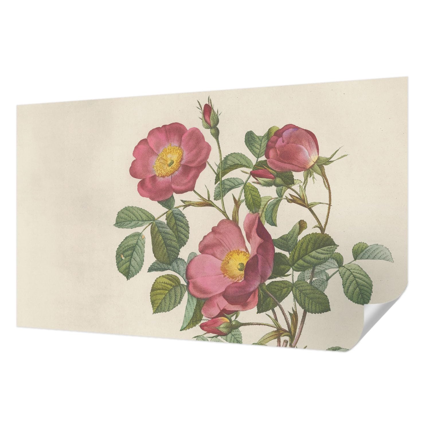 Papier peint auto-adhésif rose pour créer un salon chaleureux et cocooning